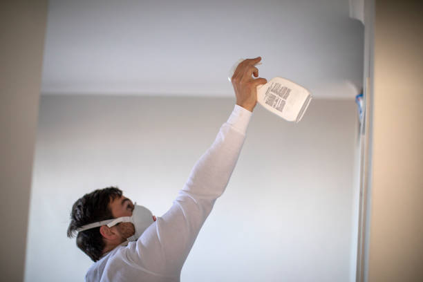 Best Local Mold Removal Service  in Belmont, VA