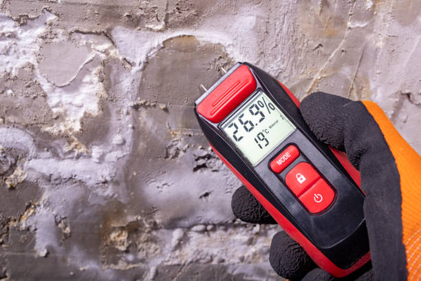Best Residential Mold Removal  in Belmont, VA