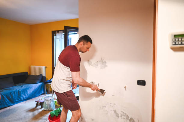 Best Same-Day Mold Removal  in Belmont, VA